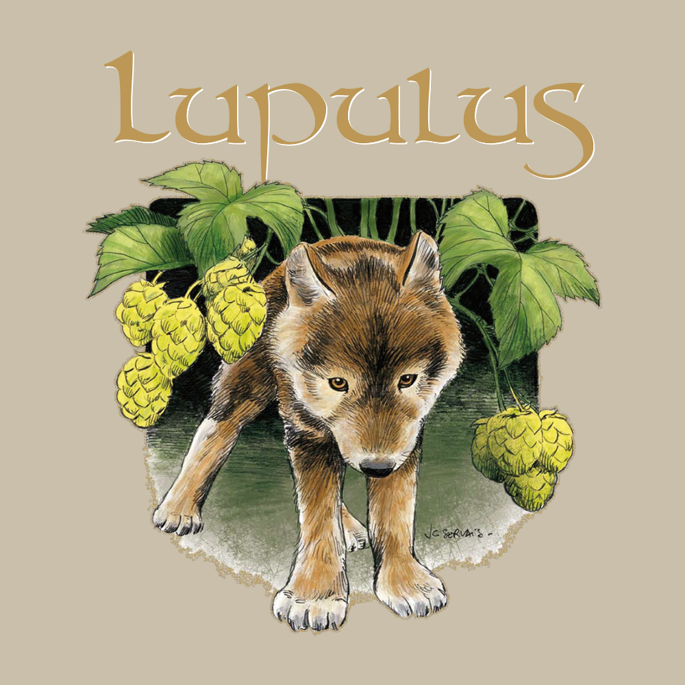 Lupulus