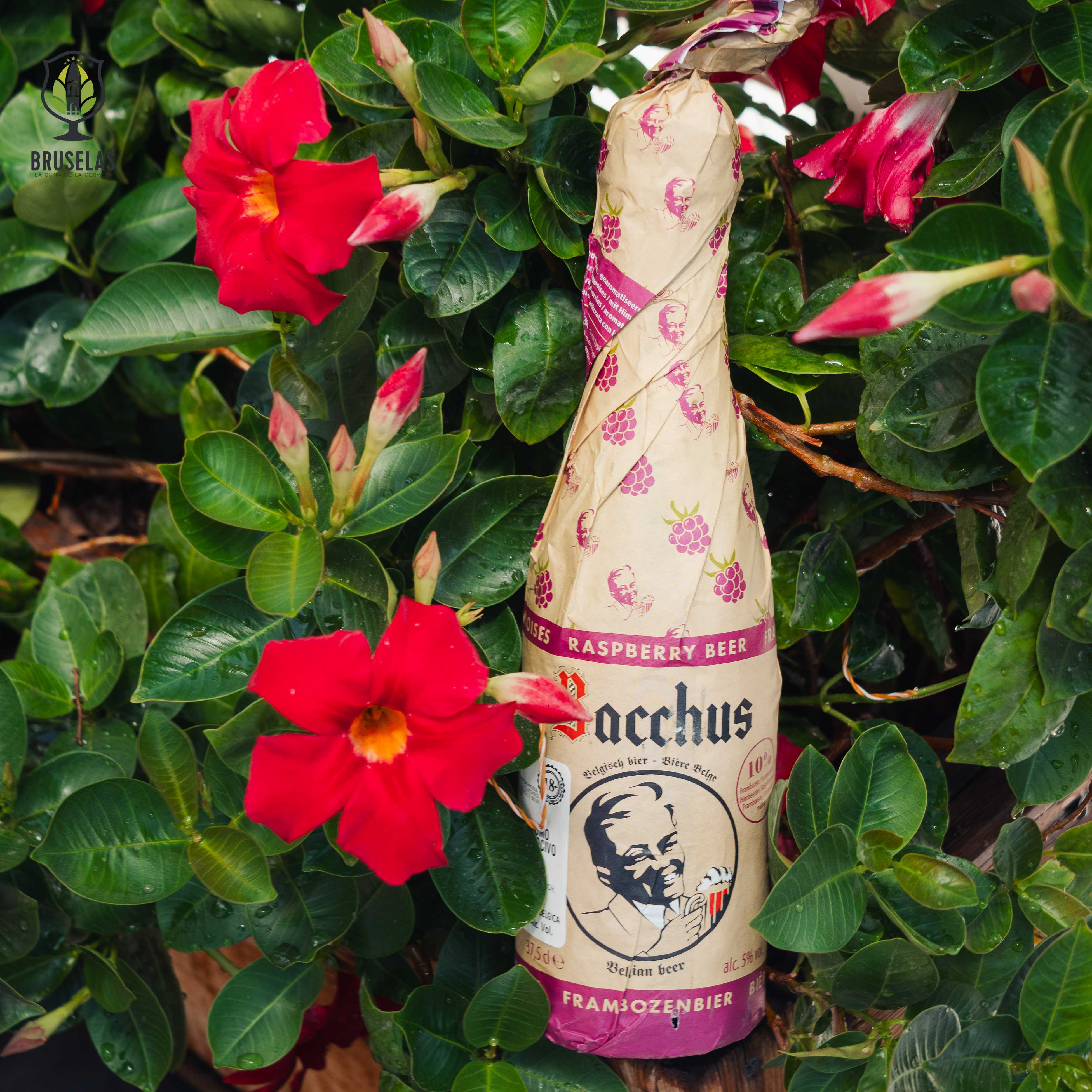 BACCHUS FRAMBOISE BOTELLA