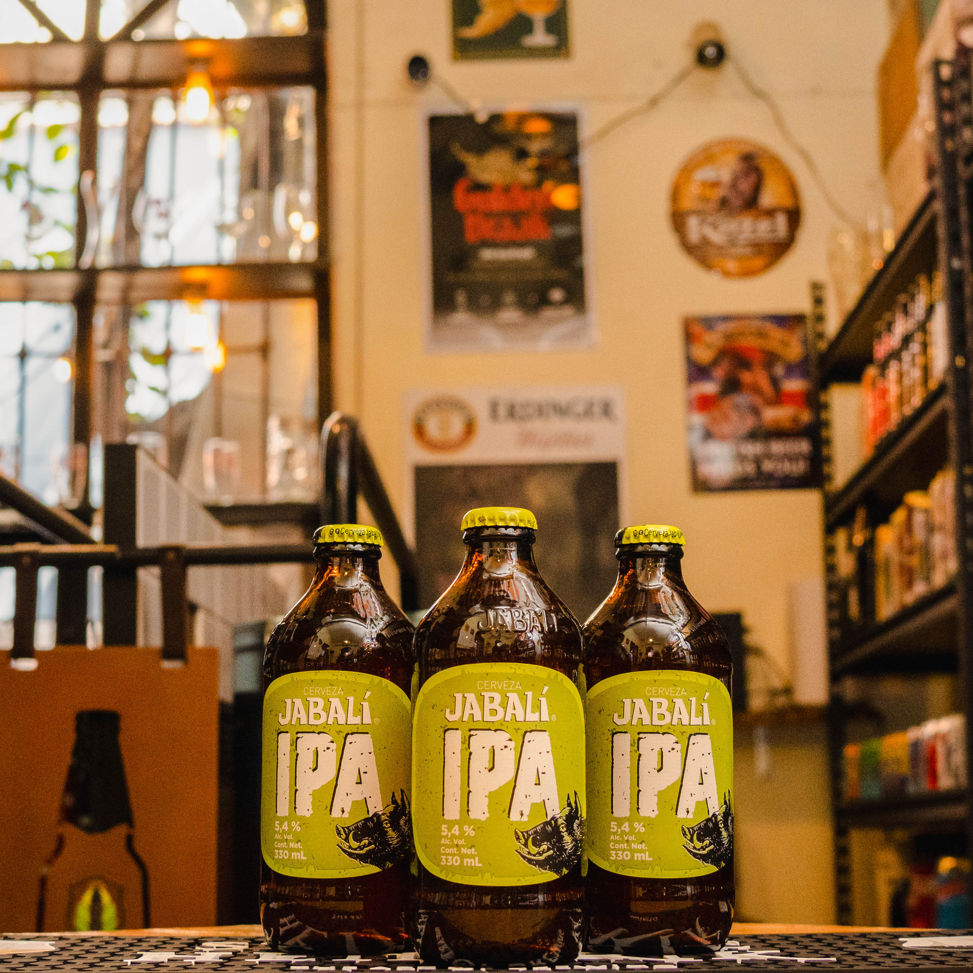 La Jabalí IPA de Cervecería Primus es una India Pale Ale mexicana con un ABV de 5.4%. De color ámbar claro y cuerpo medio, destaca por sus notas cítricas, resinosas y de pino, acompañadas de un toque de frutas tropicales. El final es amargo y refrescante, lo que la hace ideal para maridar con tacos de camarón, alitas picantes o quesos fuertes como el cheddar añejo.