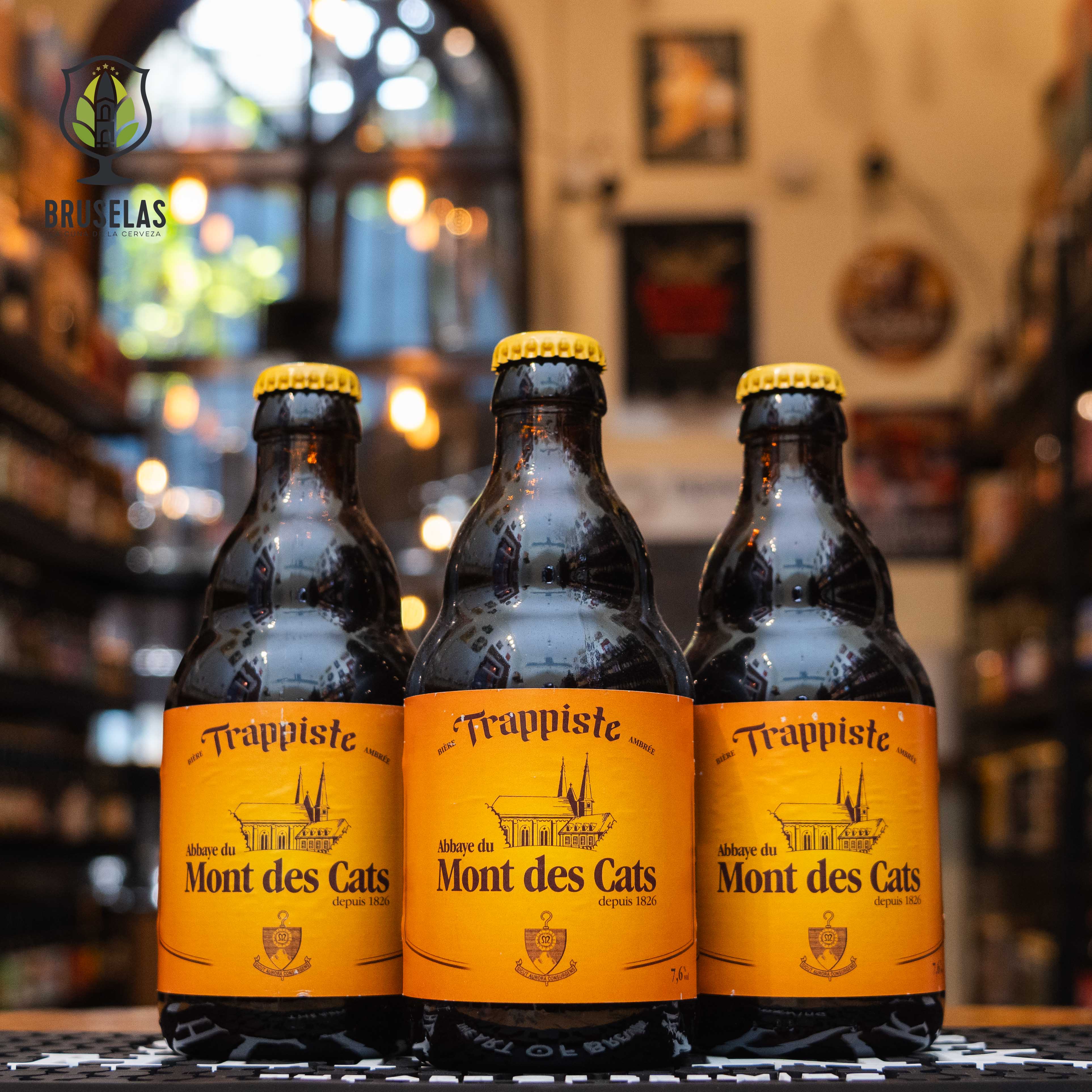 Botella de Mont des Cats, una cerveza trapense estilo ámbar elaborada por la Abbaye de Scourmont para la abadía de Mont des Cats, Francia. Con un ABV de 7.6%, esta cerveza de color ámbar oscuro ofrece aromas a malta, caramelo y frutas oscuras. Su sabor complejo incluye notas de caramelo y frutos secos, con un final ligeramente amargo. Ideal para acompañar quesos fuertes, carnes asadas y postres de caramelo.