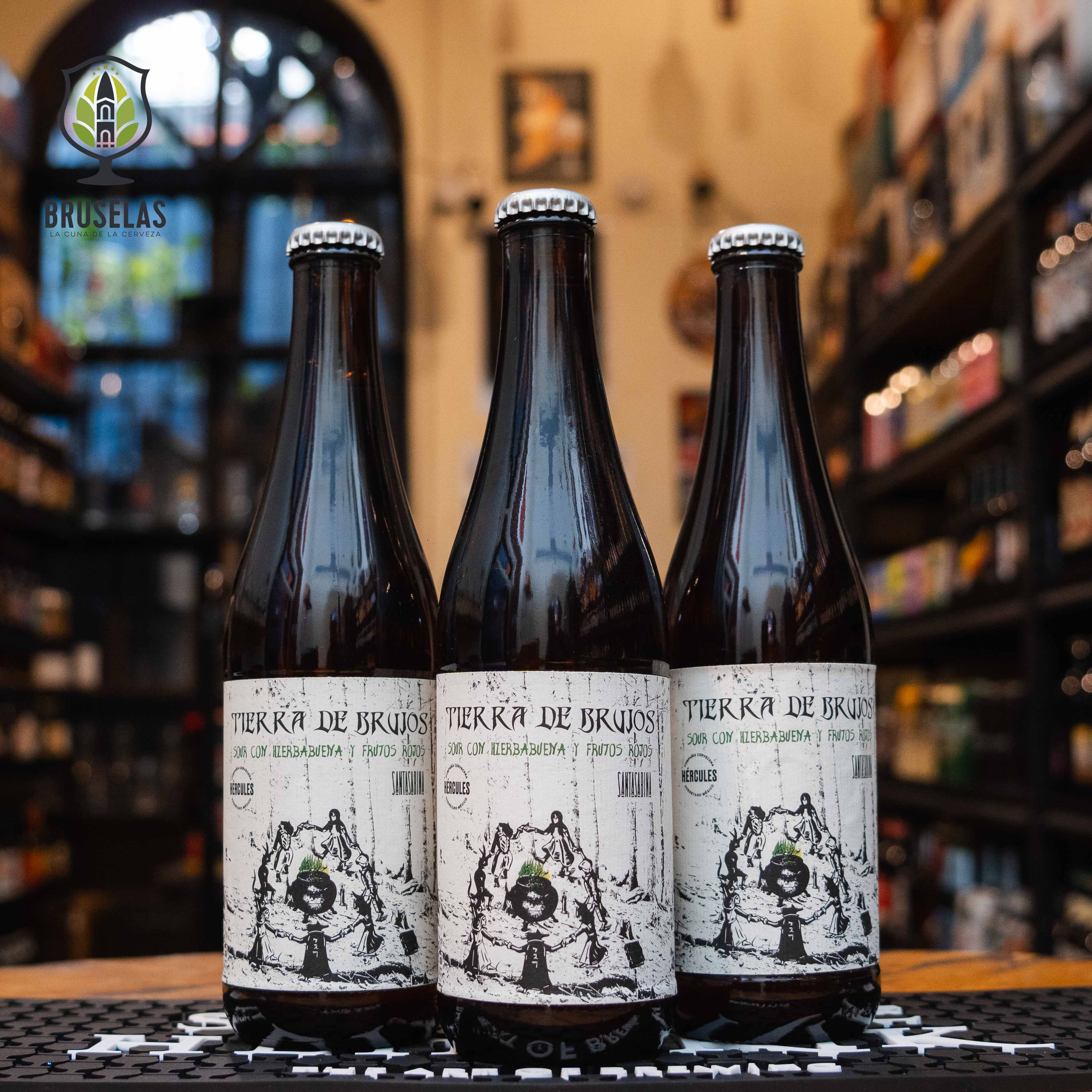 Botella de Tierra de Brujos, una Sour Fruited Ale de Santa Sabina Brewery. La etiqueta muestra un diseño místico en blanco y negro. ABV de 5% y 5 IBU, con aromas de hierbabuena fresca y frambuesa. Sabor ácido y refrescante, equilibrado entre el frescor de la hierbabuena y el dulzor de la frambuesa. Ideal para acompañar ensaladas, ceviche y mariscos. Diseño evocador y único.